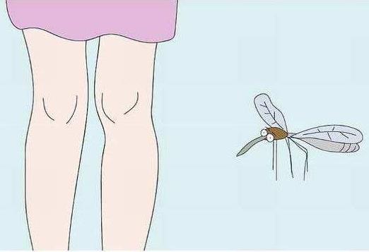 被蚊子咬肿红硬块:被蚊子咬了怎么快速消肿 被蚊子咬肿红硬块:被蚊子咬了怎么快速消肿