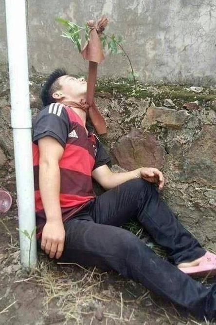 不活了，找棵树吊死算了