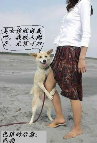 高手在民间搞笑图片大集合：高手在民间（图）