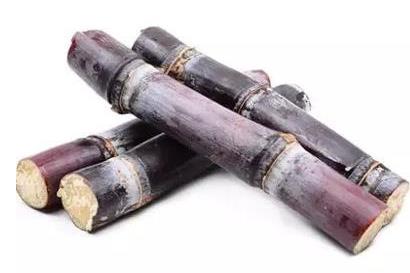 甘蔗为什么会变红 变红的甘蔗能吃吗 甘蔗变红吃了会怎么样