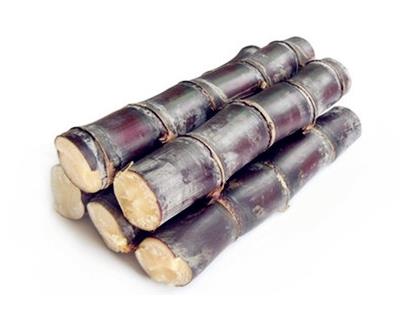 甘蔗为什么会变红 变红的甘蔗能吃吗 甘蔗变红吃了会怎么样