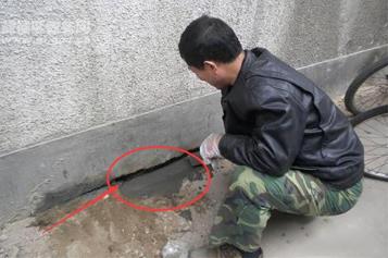 家里有老鼠怎么办：只需一招老鼠不敢进门（图）