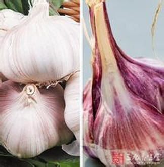 大蒜配上一宝 血栓见你都躲着走(营养补充剂) 大蒜配上一宝 血栓见你都躲着走(营养补充剂)