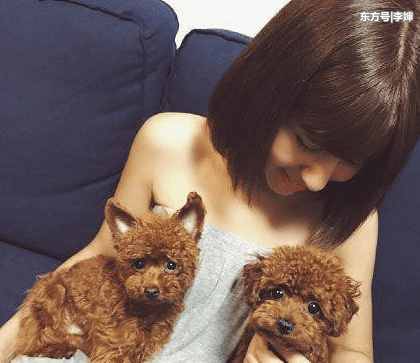 你别说虽然小小的但是很可爱