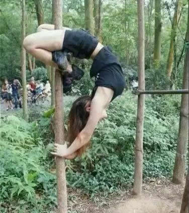 就你会上树是吧