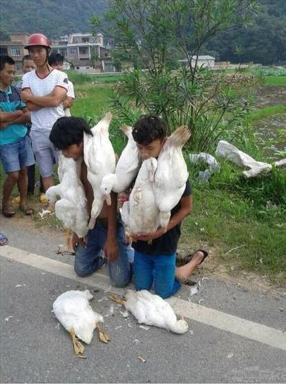 哥们，你们这是要做啥