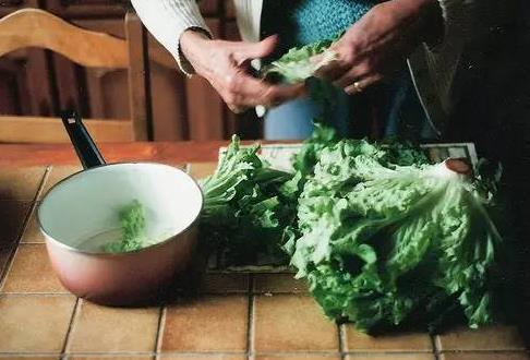 最刮油的蔬菜,每天都要吃!轻松瘦到90斤!减肥蔬菜