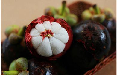 山竹的功效与作用:山竹的食用方法 山竹的功效与作用:山竹的食用方法