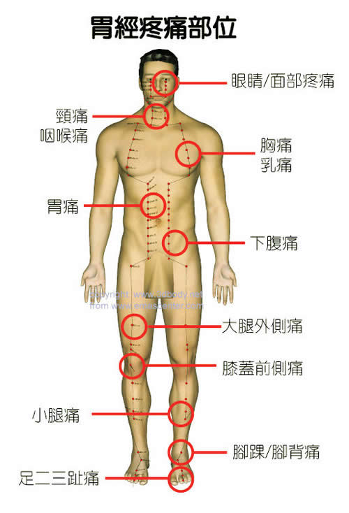 女身体各地对应疼痛图:各经络疼痛部位详细分布图