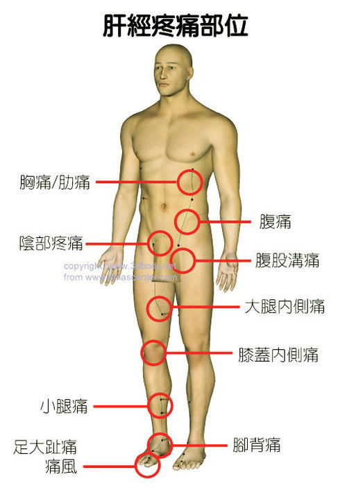 女身体各地对应疼痛图:各经络疼痛部位详细分布图