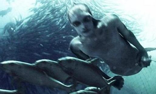 真的美人鱼真身图片,真正的美人鱼图片