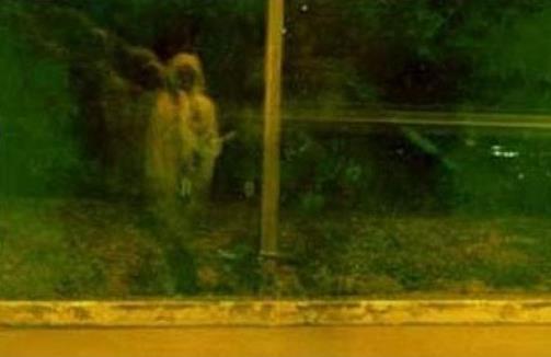 清晰灵异照片大全,网络上的照片上的鬼影