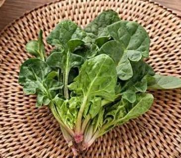 春天最该吃的5种春菜,每种都是不一样的“补”（图）