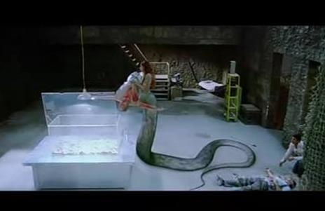 关于蛇的恐怖片推荐:10部蛇的恐怖片大盘点 关于蛇的恐怖片推荐:10部蛇的恐怖片大盘点