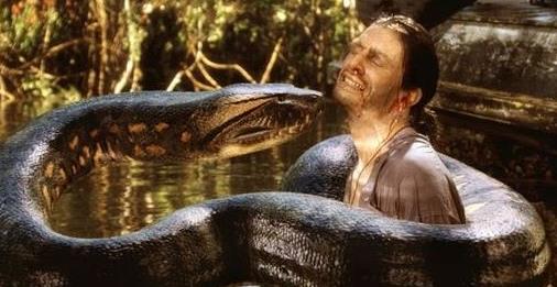 如果要说蛇的恐怖片,那么《狂蟒之灾》绝对是最人尽皆知的系列电影.