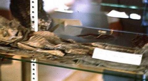 最新证据罕见曝光:外星人竟真实存在（图）