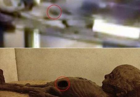 最新证据罕见曝光:外星人竟真实存在（图）