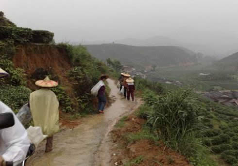 大山深处的女人真不容易,大山深处留守妇女生活(图) 大山深处的女人真不容易,大山深处留守妇女生活(图)