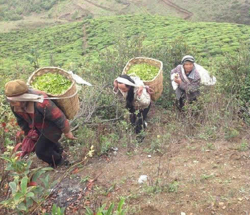 大山深处的女人真不容易,大山深处留守妇女生活(图) 大山深处的女人真不容易,大山深处留守妇女生活(图)