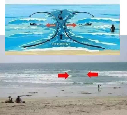 在海边看到这种海浪立即上岸逃命(图文解析) 在海边看到这种海浪立即上岸逃命(图文解析)