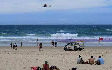 在海边看到这种海浪立即上岸逃命(图文解析) 在海边看到这种海浪立即上岸逃命(图文解析)