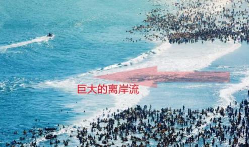 在海边看到这种海浪立即上岸逃命(图文解析) 在海边看到这种海浪立即上岸逃命(图文解析)