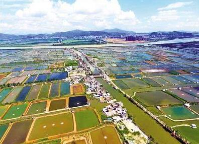 全球最牛的小镇:被称航空小镇(图) 全球最牛的小镇:被称航空小镇(图)