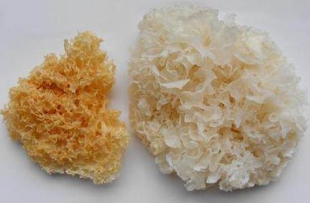 超市里这8种菜千万不能买 致癌性99%的人都不知道