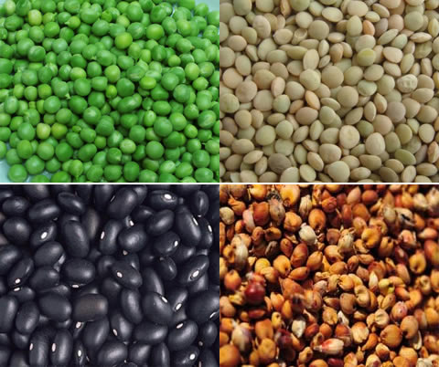 五谷杂粮是什么,盘点哪些食物是五谷杂粮 五谷杂粮是什么,盘点哪些食物是五谷杂粮