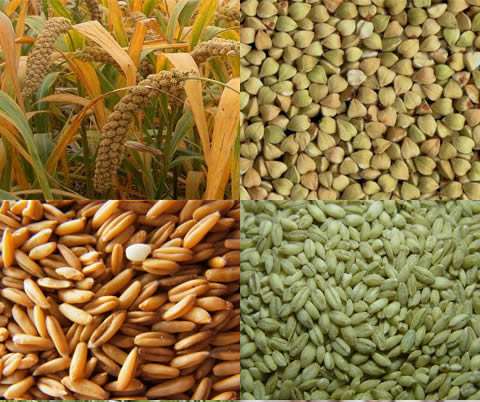 五谷杂粮是什么,盘点哪些食物是五谷杂粮 五谷杂粮是什么,盘点哪些食物是五谷杂粮