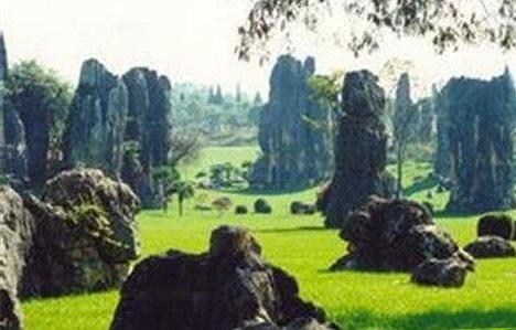 黑龙江惊险远古凤凰,黑龙江拍到远古凤凰是真是假