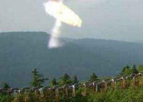 黑龙江惊险远古凤凰,黑龙江拍到远古凤凰是真是假 黑龙江惊险远古凤凰,黑龙江拍到远古凤凰是真是假