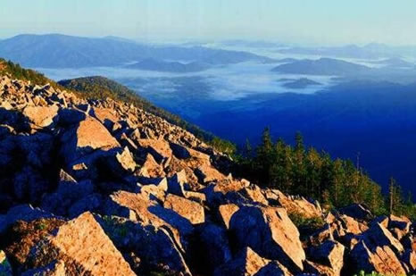 黑龙江惊险远古凤凰,黑龙江拍到远古凤凰是真是假 黑龙江惊险远古凤凰,黑龙江拍到远古凤凰是真是假