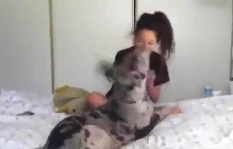 女主人把爱犬抱到床上,结果却让她后悔不已(图) 女主人把爱犬抱到床上,结果却让她后悔不已(图)