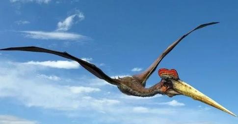 史前巨兽：盘点史前20大恐怖巨兽（组图）