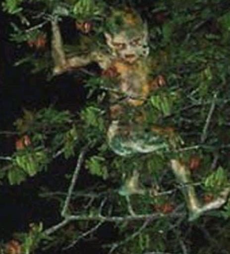 鬼魂图片 一组拍到鬼魂的照片来看看是真是假