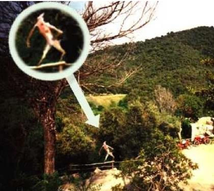 超出人类认知的图片大盘点