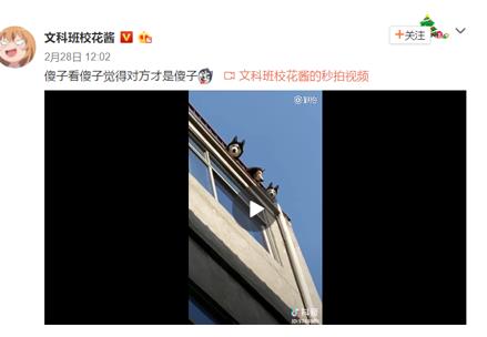 确认过眼神是什么梗?确认过眼神是广东人是什么意思