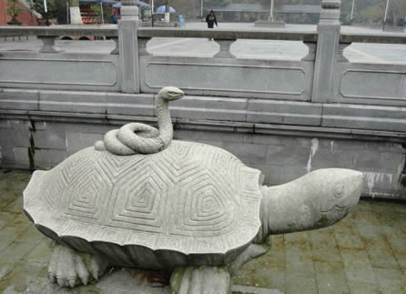 你听过几个蛇的故事:盘点民间关于蛇的传说故事 你听过几个蛇的故事:盘点民间关于蛇的传说故事