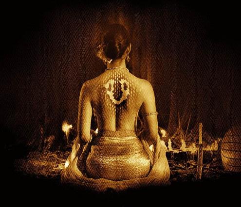 关于蛇的电影:好看十部关于蛇的电影推荐 关于蛇的电影:好看十部关于蛇的电影推荐