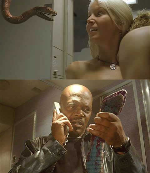 关于蛇的电影:好看十部关于蛇的电影推荐 关于蛇的电影:好看十部关于蛇的电影推荐