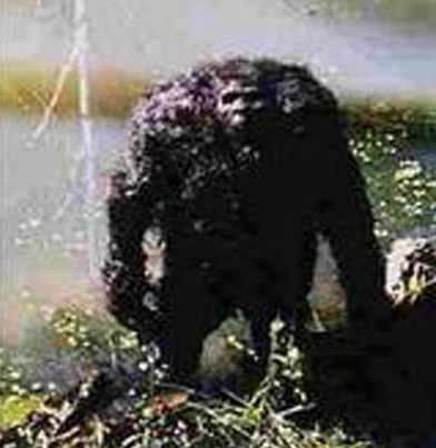 中国史上最惊人二十大无解神秘事件盘点(图) 中国史上最惊人二十大无解神秘事件盘点(图)