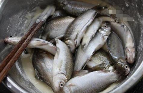 香酥可口小鲫鱼：教你大厨不外传的脆浆粉配方