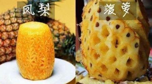 如何区分菠萝和凤梨:一张图教你快速区分菠萝和凤梨 如何区分菠萝和凤梨:一张图教你快速区分菠萝和凤梨