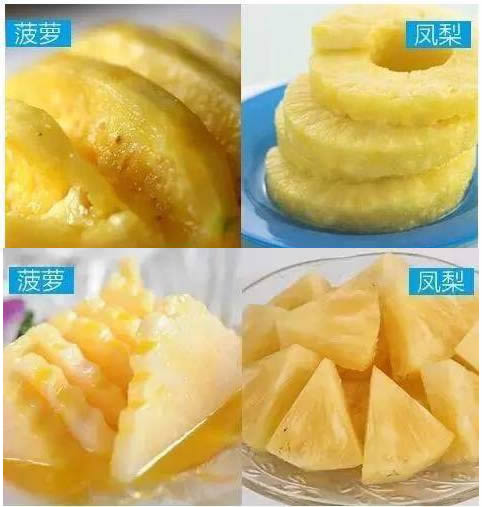 如何区分菠萝和凤梨:一张图教你快速区分菠萝和凤梨 如何区分菠萝和凤梨:一张图教你快速区分菠萝和凤梨