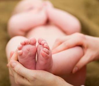 多摸摸这两个部位,宝宝越来越聪明!(图) 多摸摸这两个部位,宝宝越来越聪明!(图)