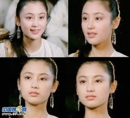 大陆第一美女陈红照片：唯一公认大陆第一美女（图）