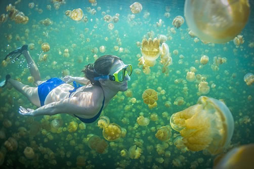 世界上最贵的游泳池：奇异的湖泊深20米游一次上百美元