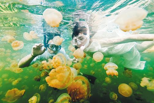 世界上最贵的游泳池：奇异的湖泊深20米游一次上百美元