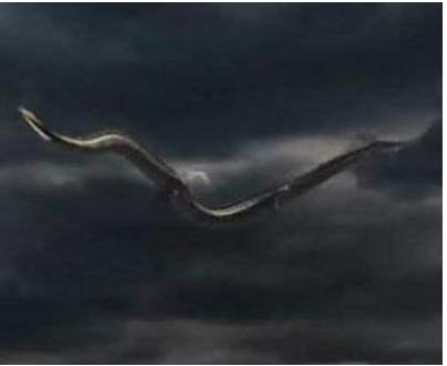 揭秘真的有龙存在吗,龙是怎么来的,龙有哪些特点